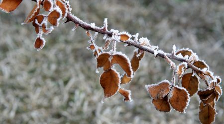 Campos do Jordão frio chega a -0,6 °C e atrai turistas no inverno